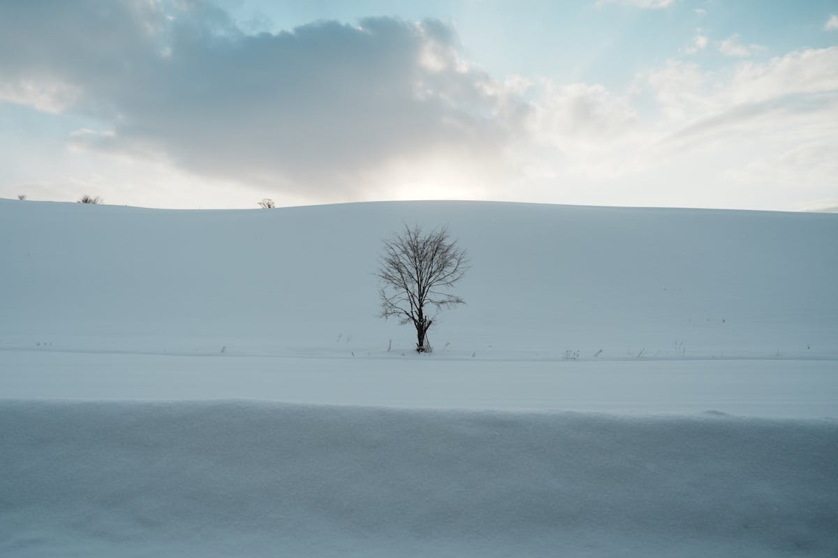 Snow-covered mountain landscape in Hokkaido Japan