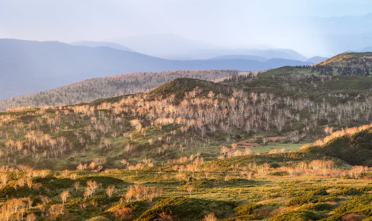 Autumn colors across the Asahidake landscape in Hokkaido