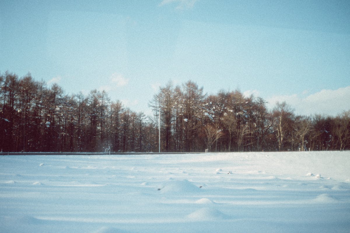 Snow-covered field and forest landscape in Hokkaido Japan