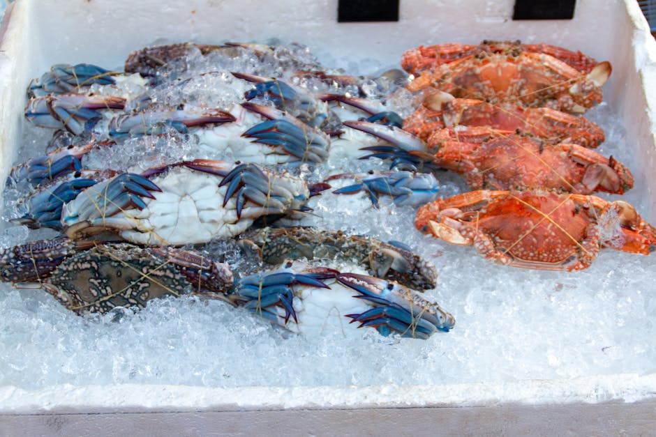 Fresh crabs on ice at a seafood market