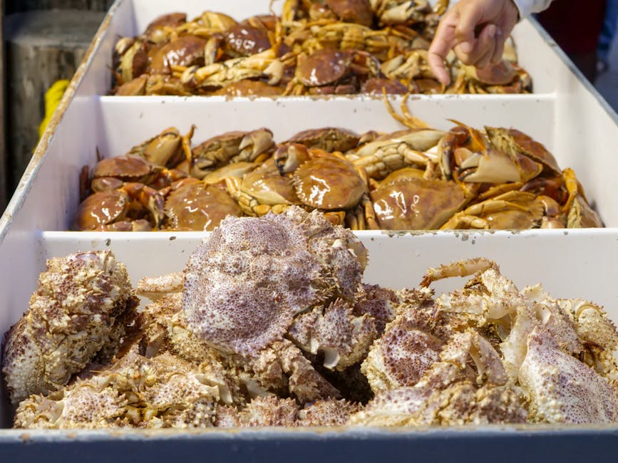 Fresh crabs displayed in containers at a seafood market