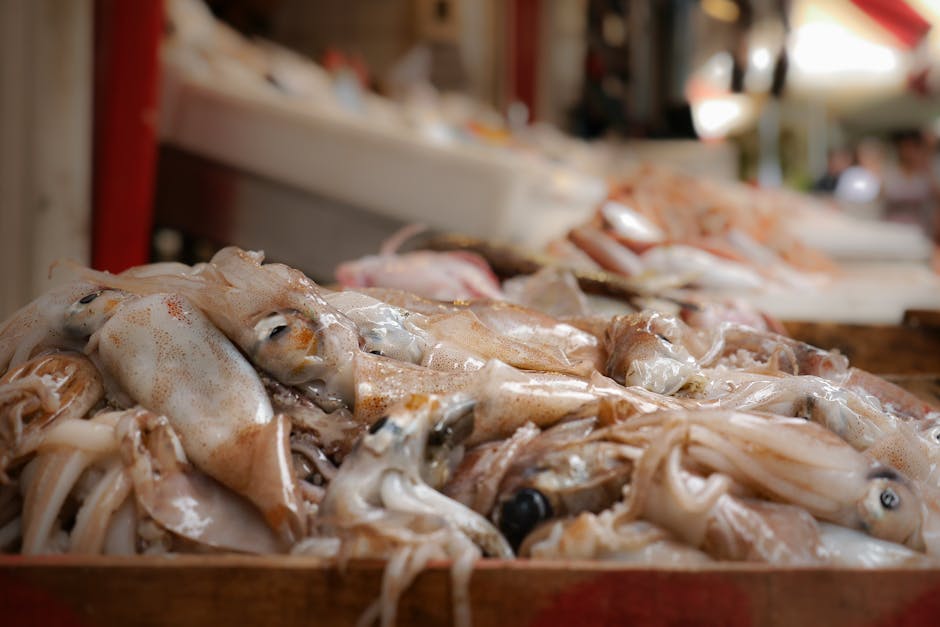 Fresh squid displayed at a Japanese seafood market stall
