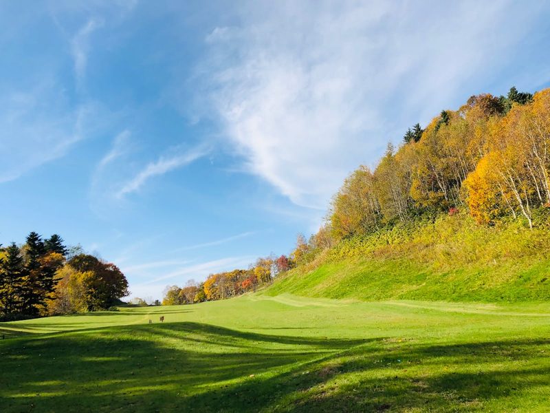 Scenic autumn forest in Tobetsu Hokkaido