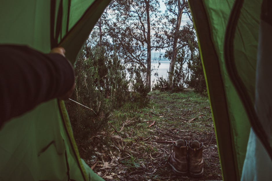 View through tent opening overlooking a serene lake surrounded by forest