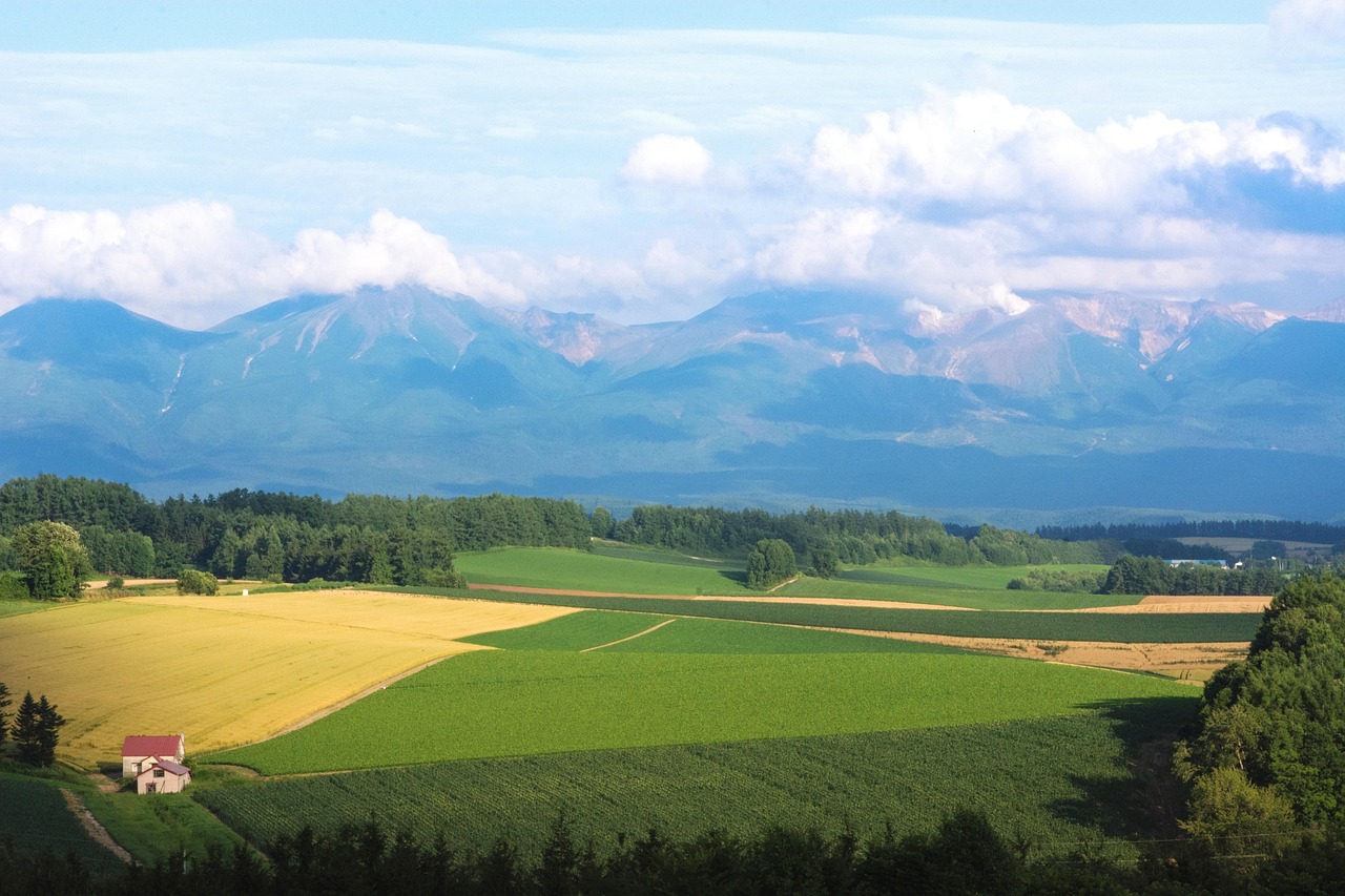 Green rolling hills and farmland in Biei Hokkaido Japan