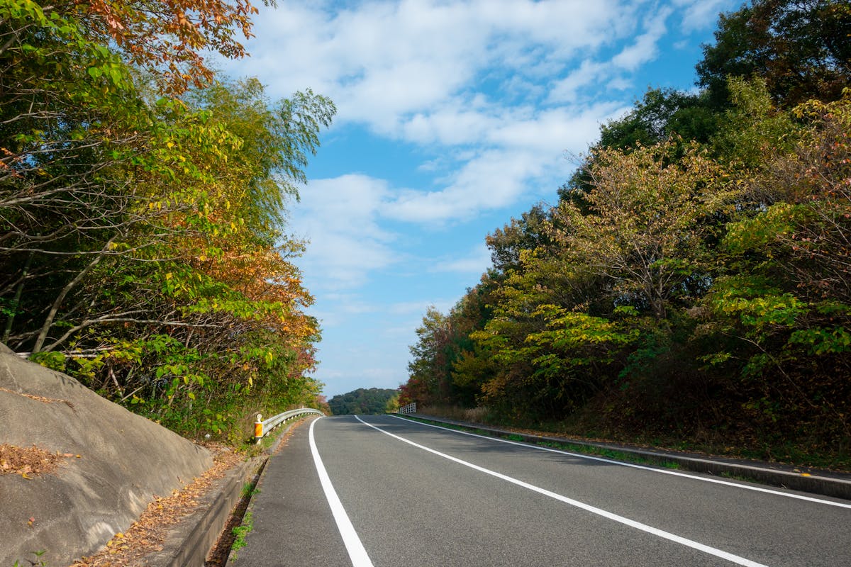 Tree-lined country road with autumn foliage under blue sky in Onomichi Japan