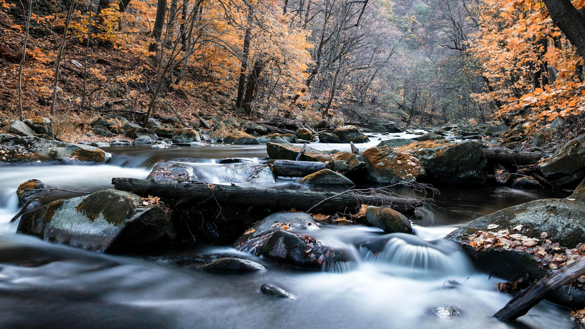 Rocky river flowing through autumn forest