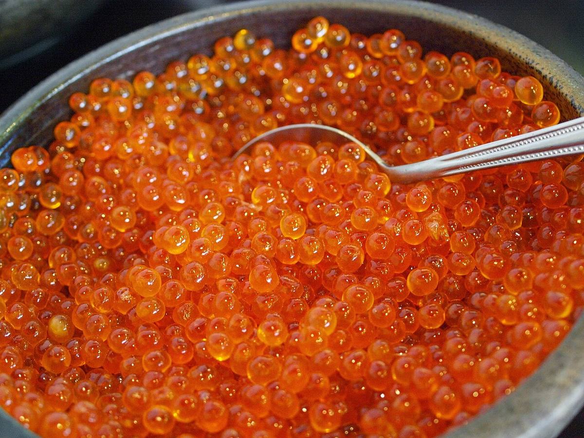 Ikura (Salmon Roe) in Hokkaido Japan