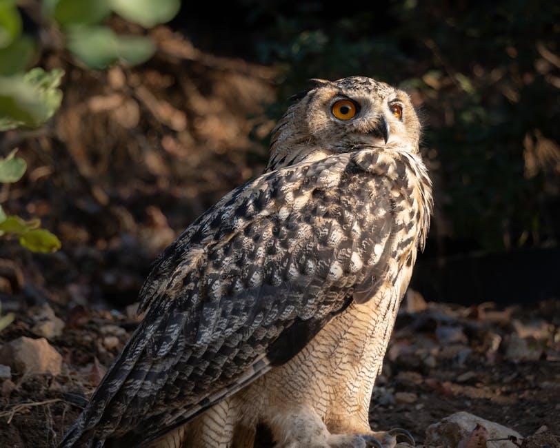 Large owl sitting in dark forest
