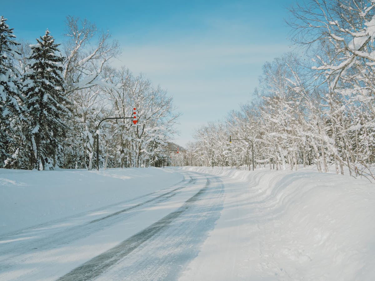 Snow-covered road in Hokkaido Japan surrounded by snow-laden trees under clear blue sky