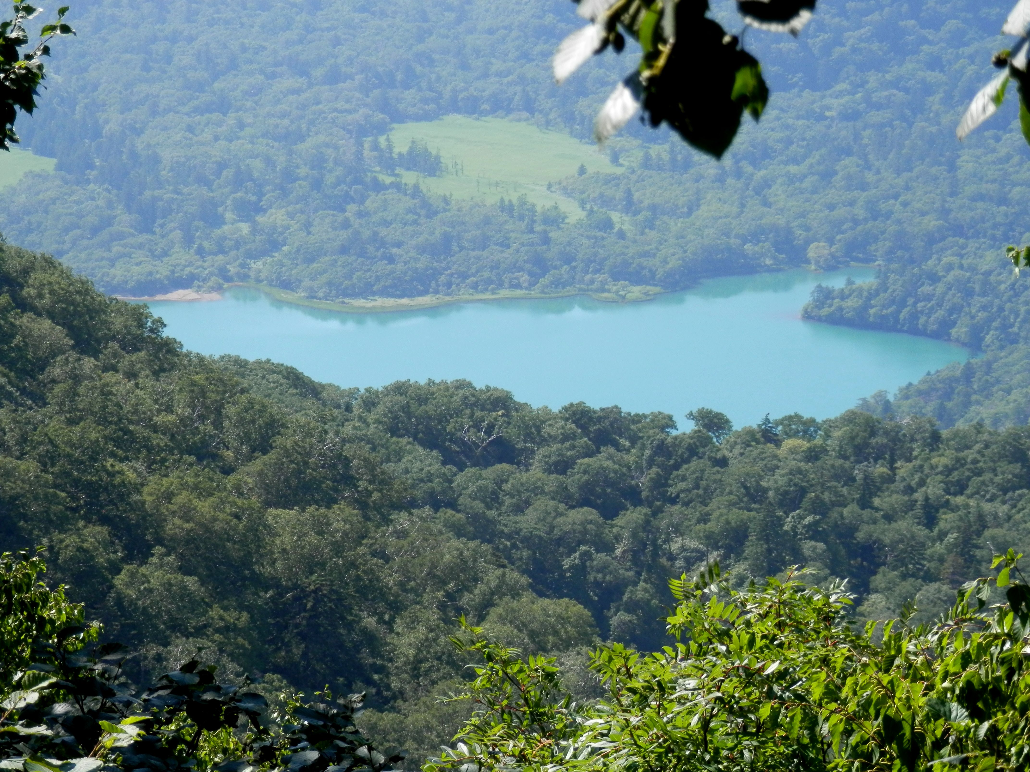 Lake Okotanpe seen from Mount Eniwa, showing the green lake surrounded by forest in Hokkaido