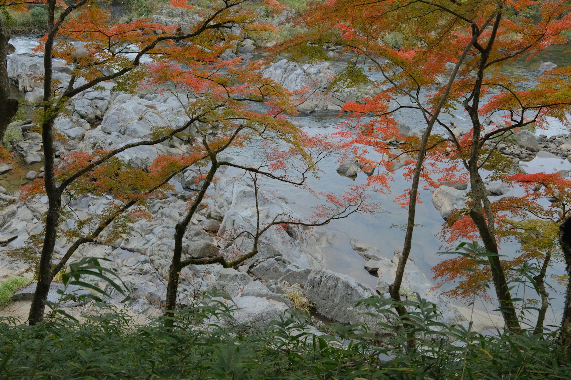 autumn leaves river gorge japan