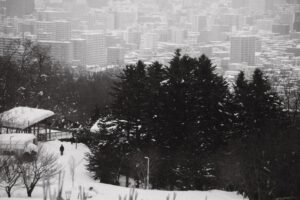 Scenic winter view of snowy park with buildings in Sapporo Hokkaido