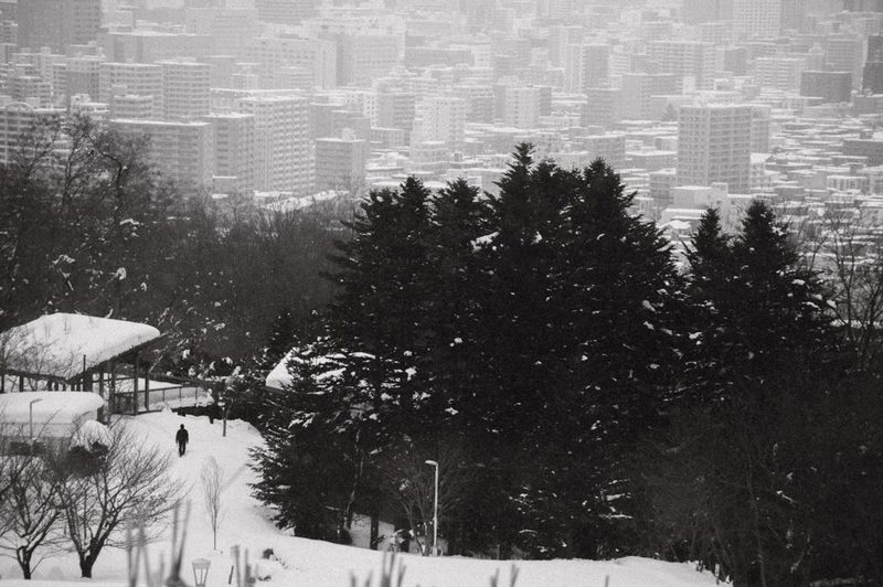 Scenic winter view of snowy park with buildings in Sapporo Hokkaido