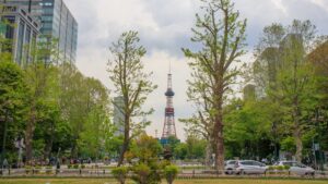 Scenic view of Sapporo TV Tower in Odori Park surrounded by greenery