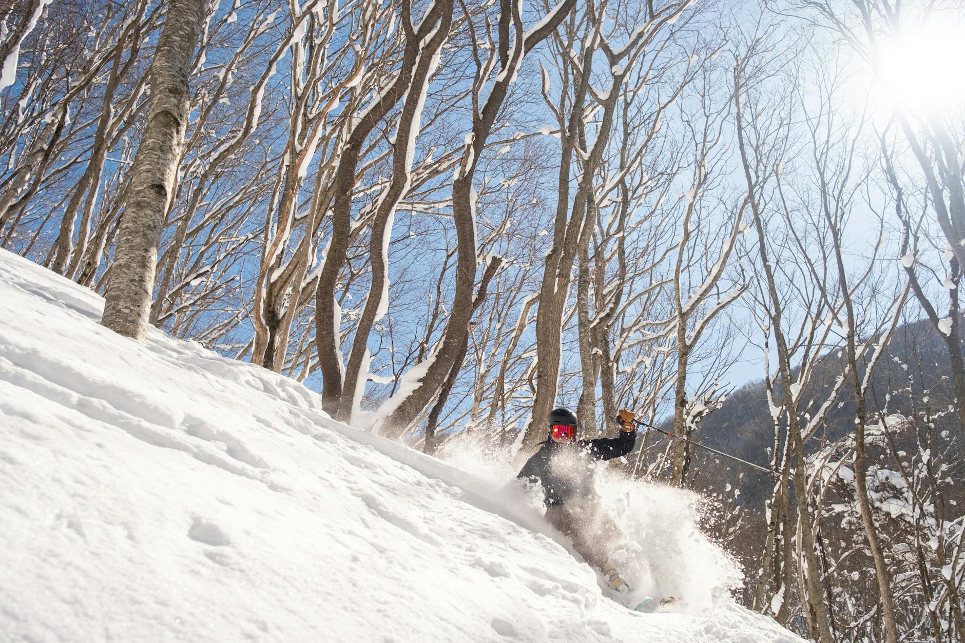 Skier carving through fresh powder snow in a forest
