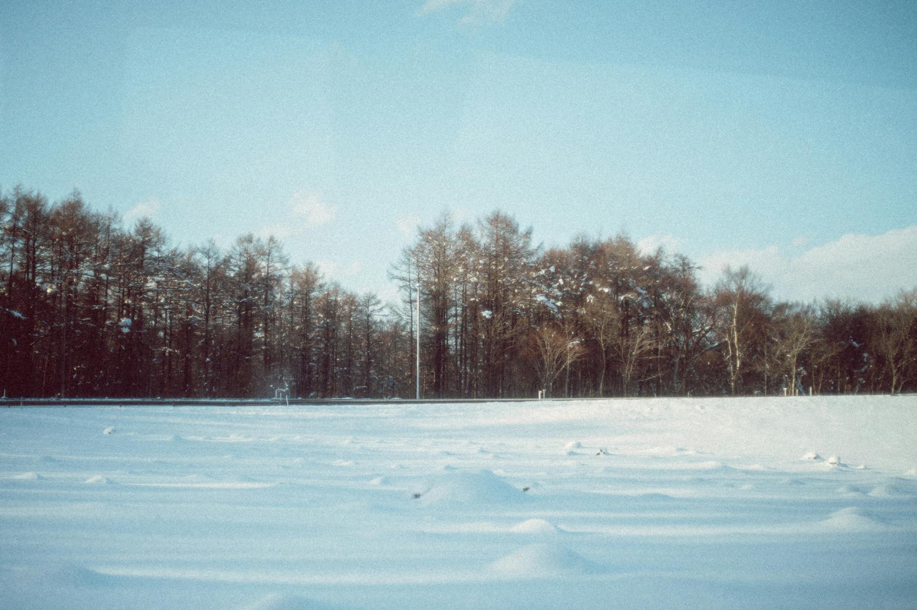 Snow-covered field with tranquil winter forest in Hokkaido Japan