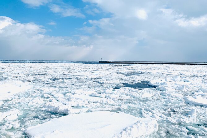 2 Day Tour to Icebreaker Mombetsu and Asahiyama Zoo in Hokkaido - What the $297.85 price includes