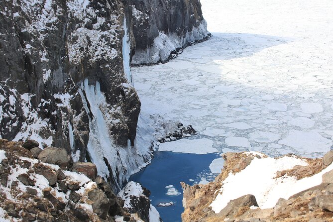 3.5hours Primeval Forest Snowshoe hike and Wildlife Watching Tour - Why Shiretoko feels different in winter