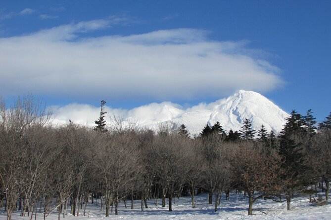 3.5hours Primeval Forest Snowshoe hike and Wildlife Watching Tour - Entering the primeval forest by snowshoe