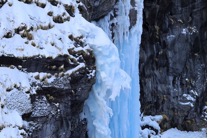 3.5hours Primeval Forest Snowshoe hike and Wildlife Watching Tour - Fitness, age, and winter comfort