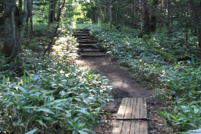 3hours Nature Guided Tour in Shiretoko Five Lakes - Key points to know before you book
