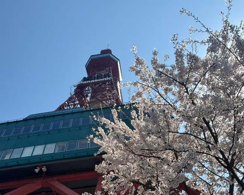 Authentic Sapporo: Nijo Market Seafood Lunch & History Tour - How the guides shape the experience