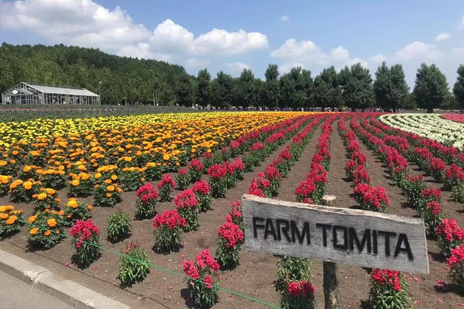 [Biei/Furano] One-day sightseeing by private car! - How flexible is the day?