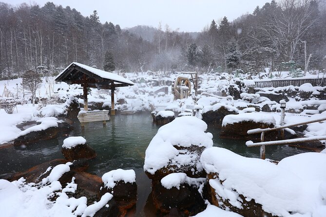 Enjoy snow-covered hot springs with private transport - The private taxi makes winter travel simpler
