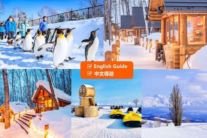Explore Shikotsu Ice Festival (day tour) - Who Will Enjoy This Tour Most
