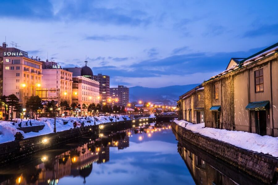 From Sapporo: 10-hour Customized Private Tour to Otaru - Who should book this tour
