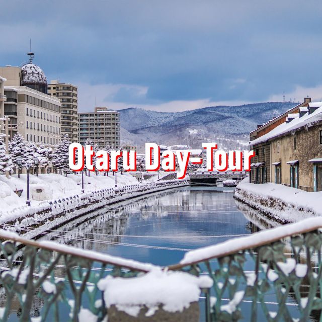From Sapporo: 10-hour Customized Private Tour to Otaru - What the car changes