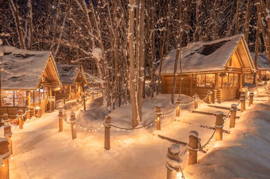 From Sapporo: Biei, Furano or Asahikawa Private Day Tour - A long road from Sapporo to Hokkaido’s famous views