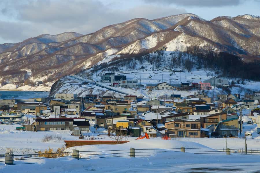 From Sapporo: Biei, Furano or Asahikawa Private Day Tour - What the $599 private price really buys
