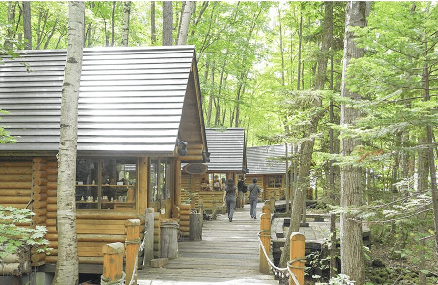 From Sapporo : Hokkaido Furano Tomita Farm Joiner Tour - Is $150 good value?