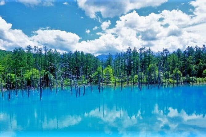 Full Day Tour in Hokkaido and Lake Toya from Sapporo - Lake Toya in two quick viewpoints