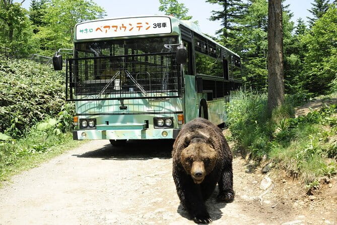 Full Day Tour in Hokkaido and Lake Toya from Sapporo - What the $85 price really covers