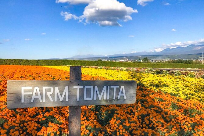 Furano & Biei 4 hour Tour: English Speaking Driver only, No Guide - Making four hours work