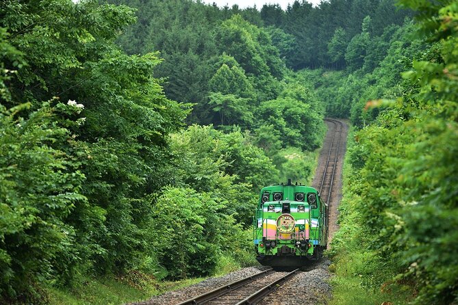 Furano & Biei 6 hour Tour: English Speaking Driver only, No Guide - Shirogane Blue Pond and the shift to Biei
