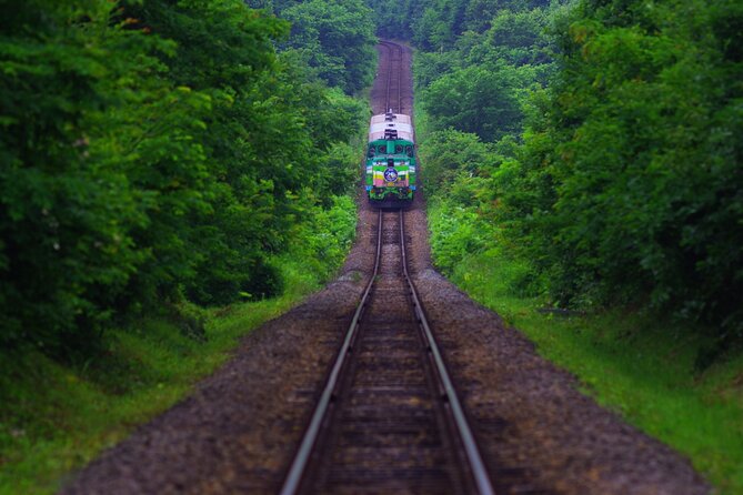 Furano Biei Tour Sapporo DEP: English Speaking Driver, No Guide - Shikisai no Oka and its 15 hectares of flowers