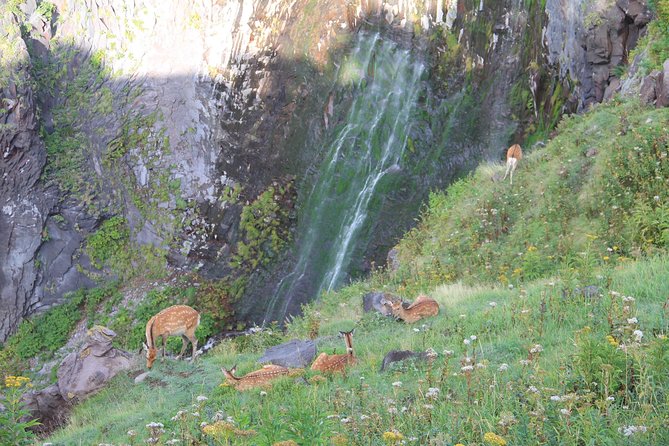 Furepe Waterfall Nature Walk - A small group keeps the outing personal