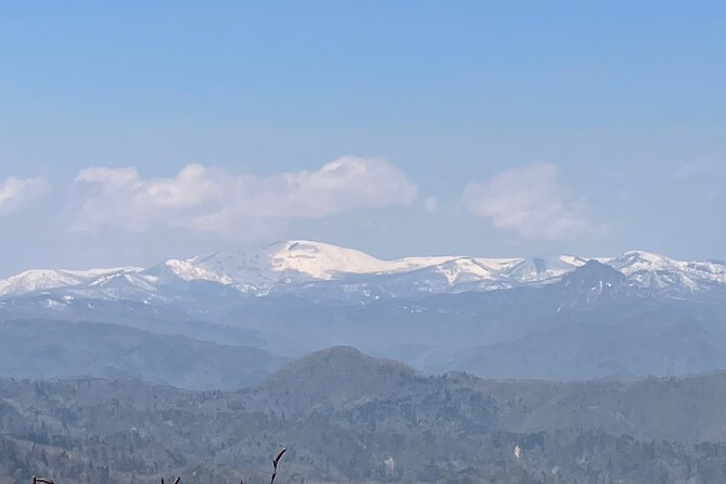 Green Season Half Day Hikes in Sapporo and Hokkaido with Onsen - Should you book the Trekmate Hokkaido hike?
