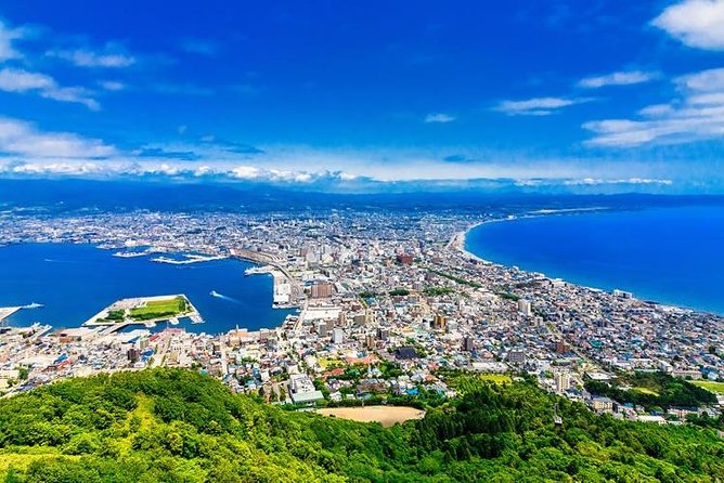 Hakodate 4hr Private Tour with Government-Licensed Guide - Goryokaku Park and the final chapter of the shogun era