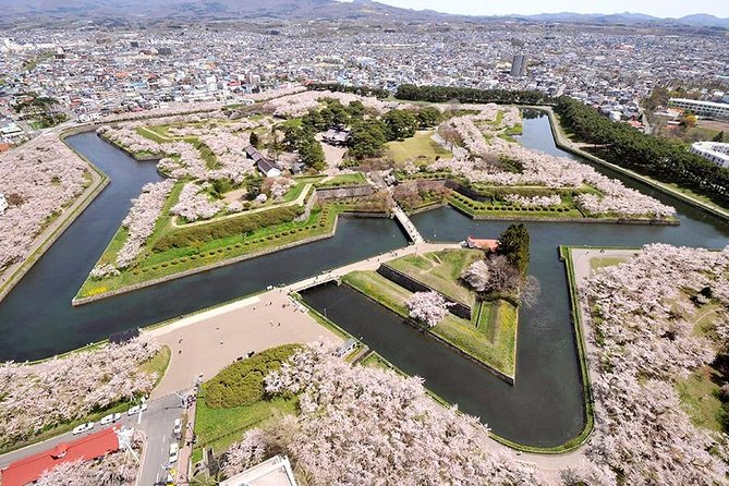 Hakodate 6hr Private Tour with Government-Licensed Guide - Hakodate Morning Market: a useful early stop