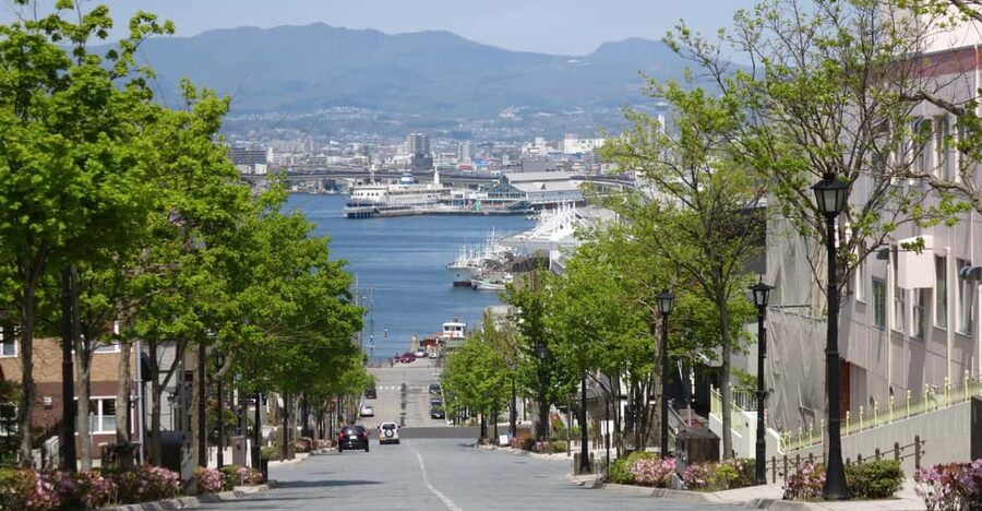 Hakodate: a half-day tour with Government Licensed guide - What the $322 group price really means