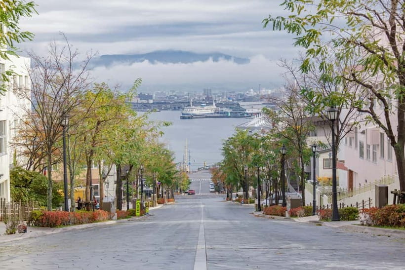 Hakodate Highlights Shore Excursion (5h) for Cruise Guests - Goryokaku Tower and the star-shaped fort below