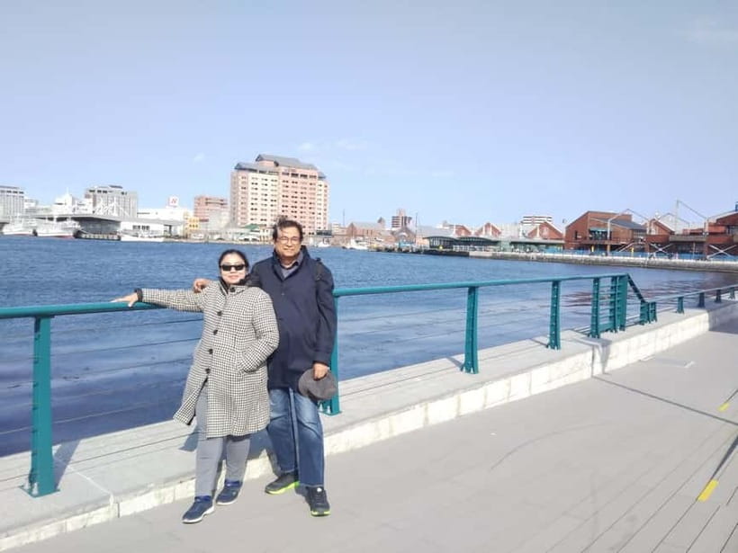 Hakodate Private Walking Tour with Government-Licensed Guide - Mount Hakodate and the value of a viewpoint