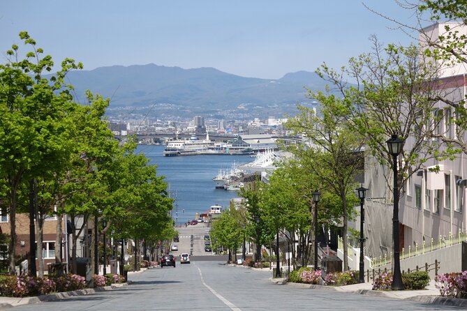 Half Day Hakodate Tour with Government Licensed English guide - A practical first look at Hakodate in four hours