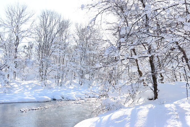 Half Day - Snow View Rafting in Niseko - Is $111.05 a Fair Price?