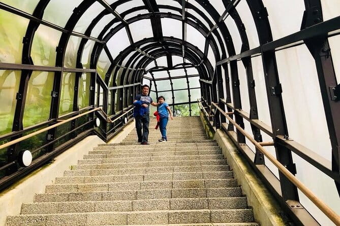 Hokkaido Asahiyama Zoo and Blue Pond Elf Terrace Day Trip - The 8 a.m. start from Sapporo Station